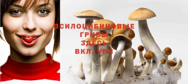 мдпв Богородицк