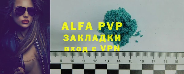 гашик Богданович