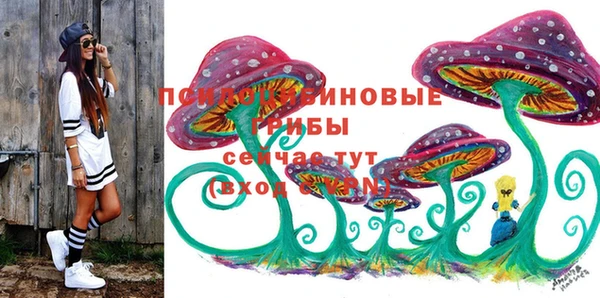 гашик Богданович
