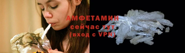 гашик Богданович