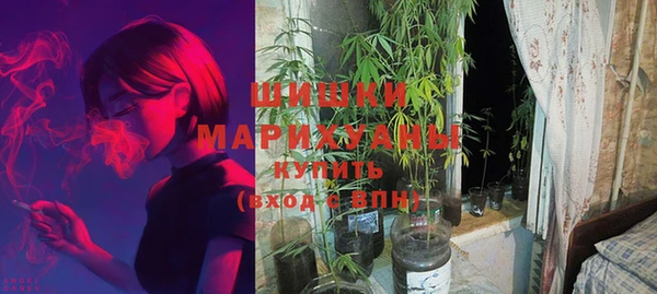 мдпв Богородицк