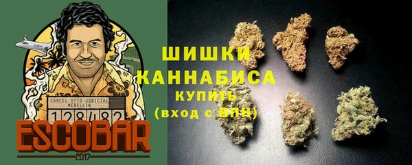 мдпв Богородицк