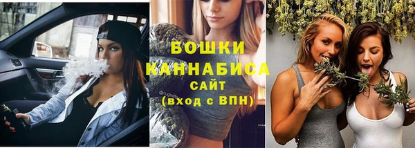гашик Богданович