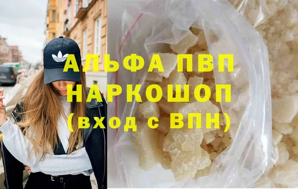 гашик Богданович