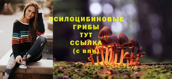 гашик Богданович