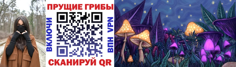 гидра ссылки  Комсомольск-на-Амуре  Псилоцибиновые грибы мухоморы 